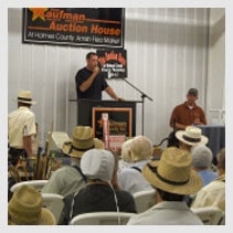 Amish Country Auctions Auctioneer and crowd